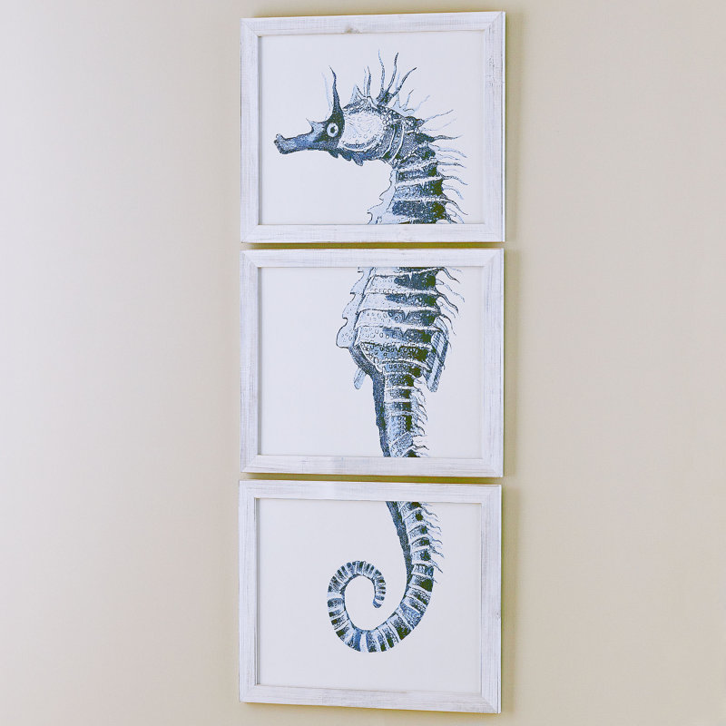 Birch Lane™ Seahorse Triptych Framed Print Birch Lane